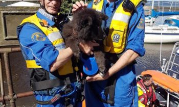 Pic - Coastguard
